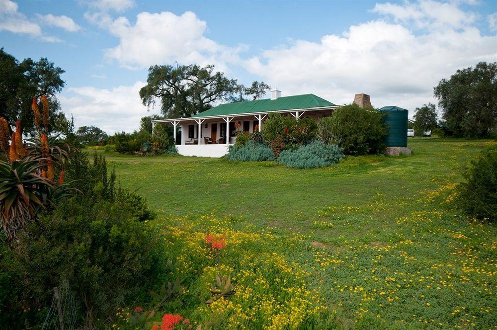 Leeuwenbosch Country House - Amakhala Game Reserve Exterior photo