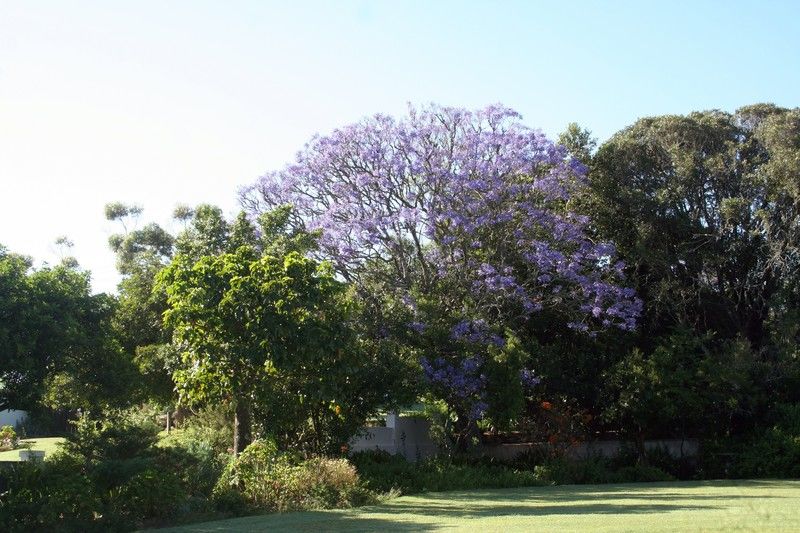 Leeuwenbosch Country House - Amakhala Game Reserve Exterior photo