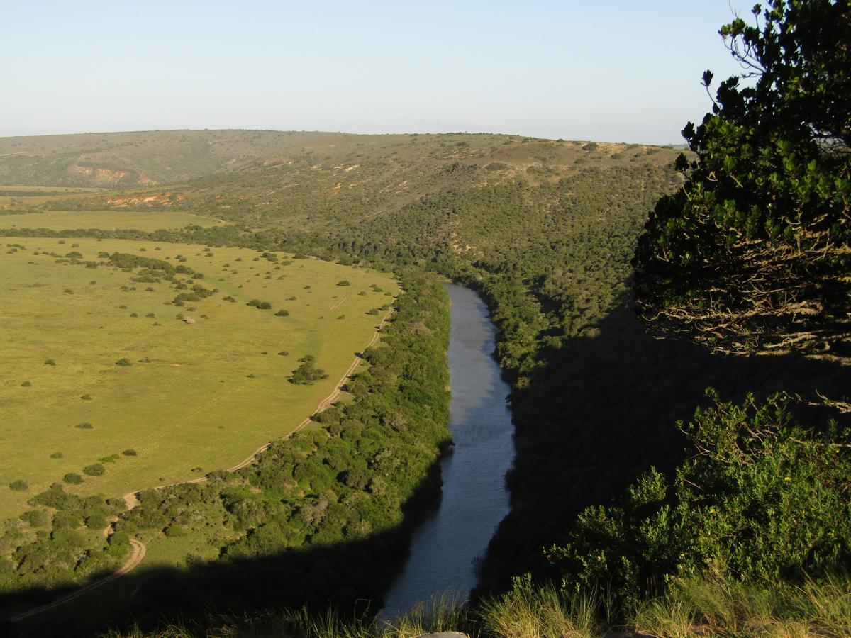 Leeuwenbosch Country House - Amakhala Game Reserve Exterior photo