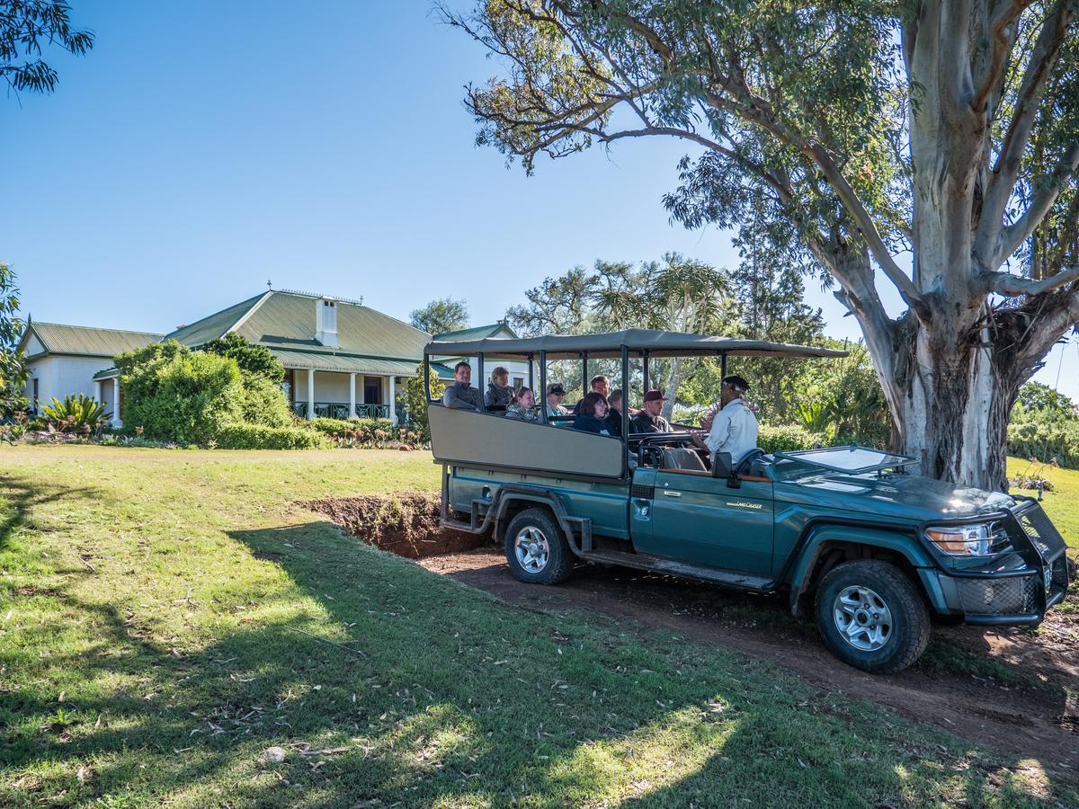 Leeuwenbosch Country House - Amakhala Game Reserve Exterior photo