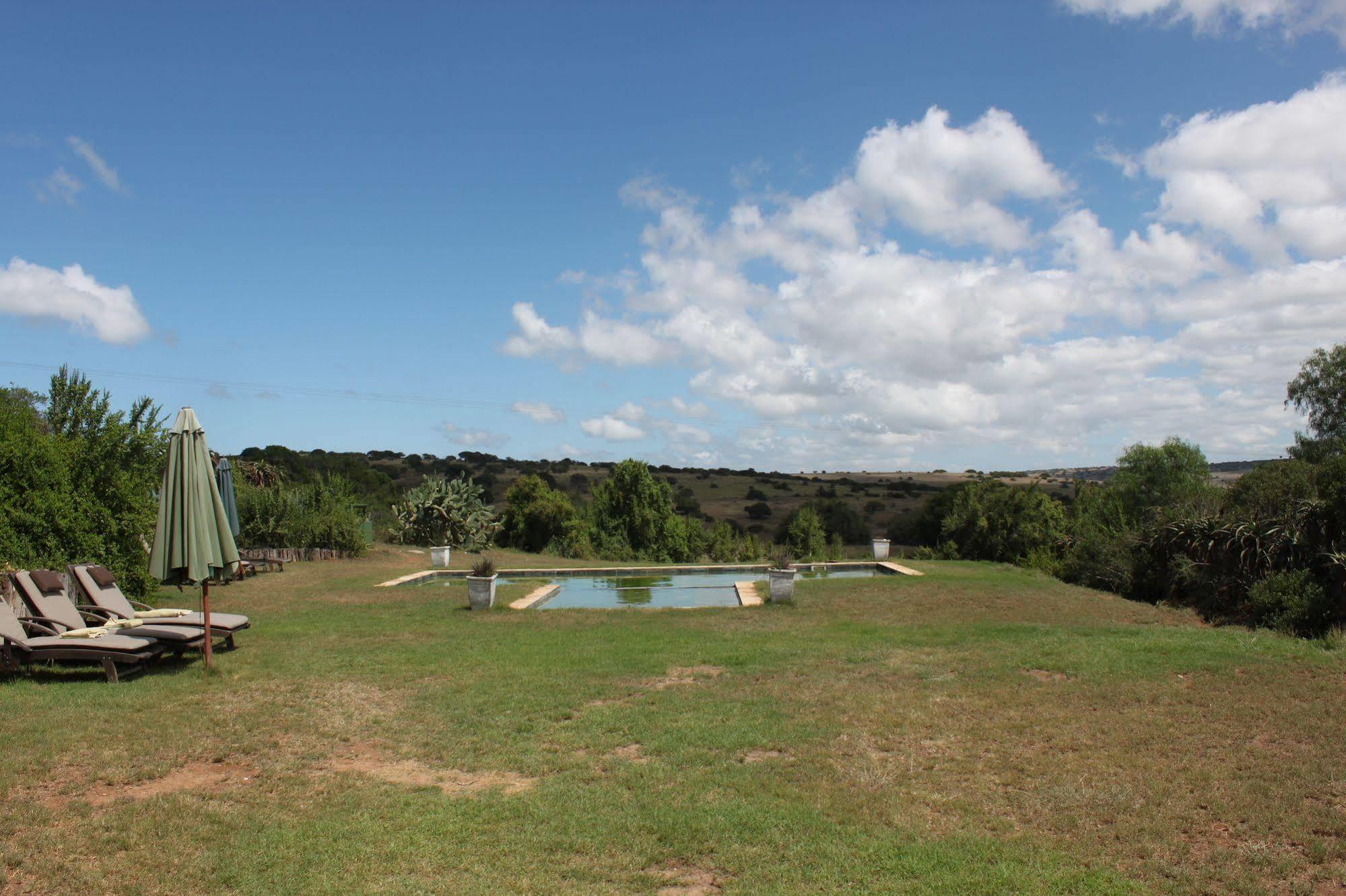 Leeuwenbosch Country House - Amakhala Game Reserve Exterior photo