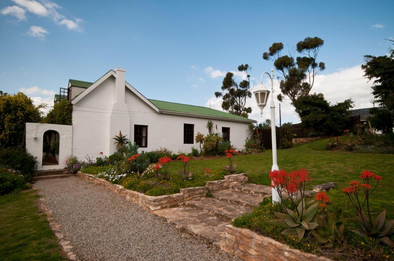 Leeuwenbosch Country House - Amakhala Game Reserve Exterior photo